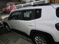 جيب رينيجيد